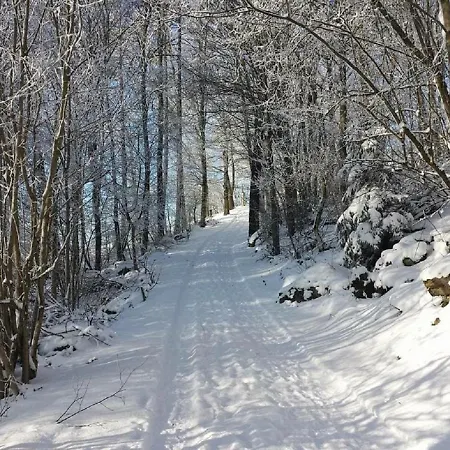 Monis * Tännesberg