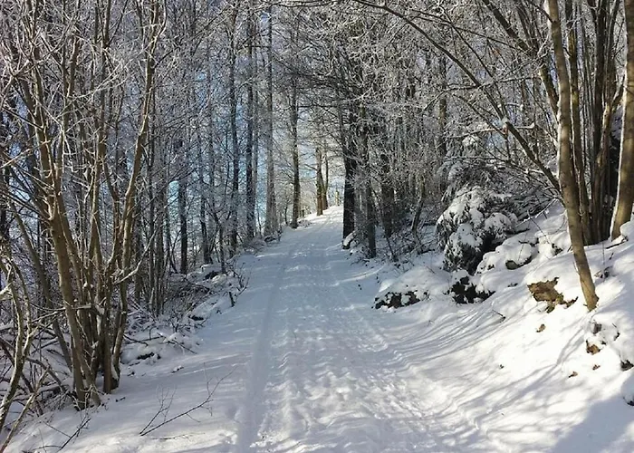 Monis * Tännesberg